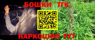 прущий лед Будённовск