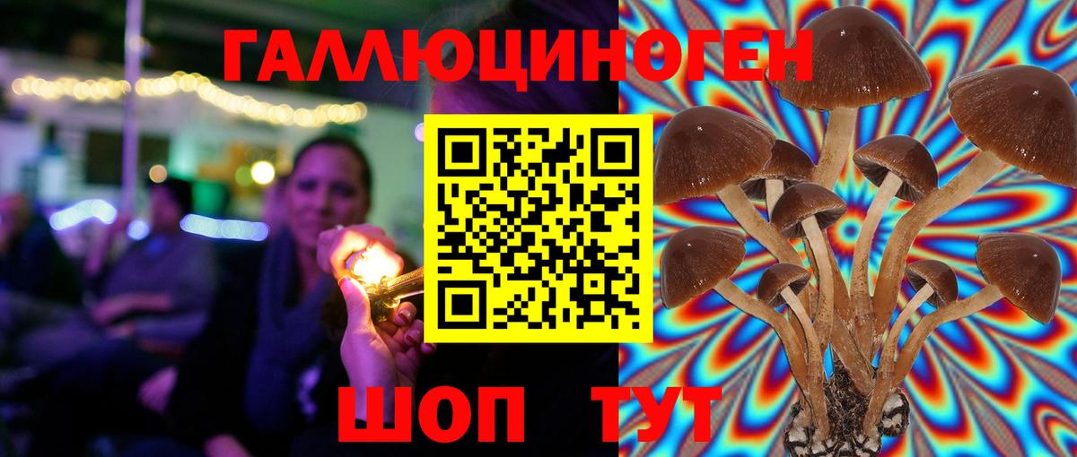Марихуана  Вход с VPN  АМФ кристаллы  Ипатово  ГАШ  Меф кристаллы  COCAIN 