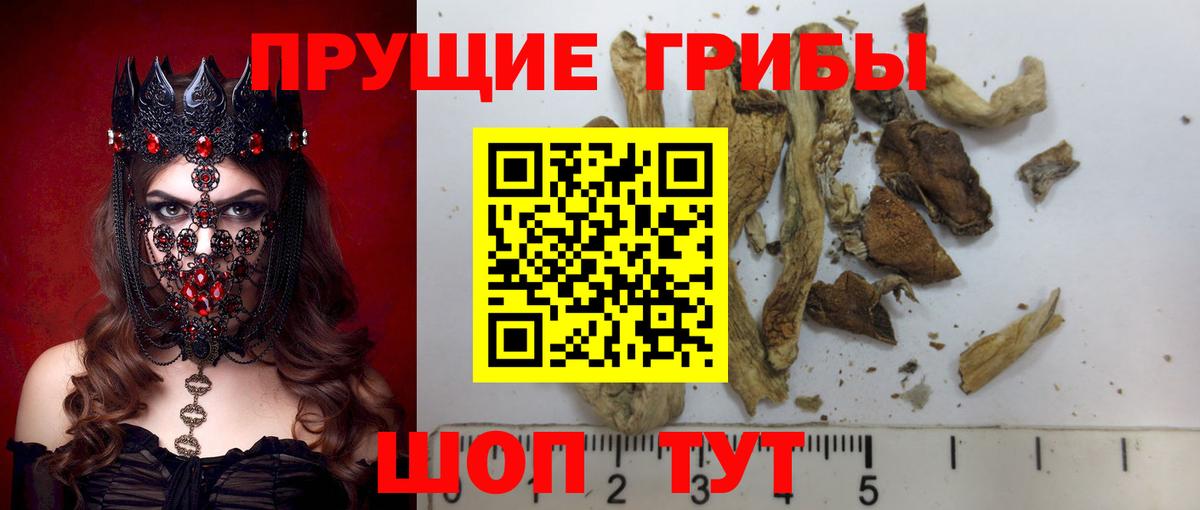 Псилоцибиновые грибы мухоморы  Вход с VPN  Псилоцибиновые грибы Psilocybe  Ипатово 