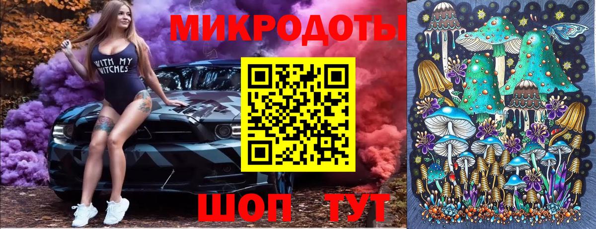 Псилоцибиновые грибы Psilocybine cubensis Ипатово